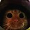 Gatoiche